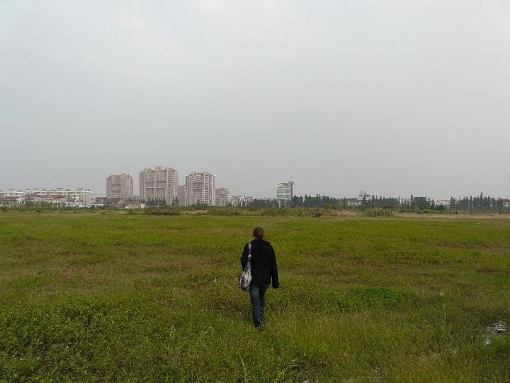Freiflche in Jinshan
