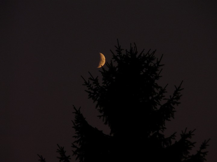 Donnerstag, früher Abend: der zunehmende Mond, ebenfalls fotografiert in Deißlingen